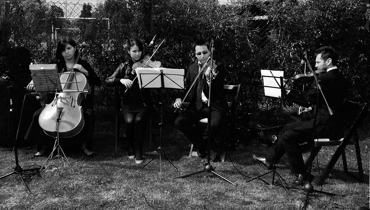 musicos para bodas en bogota